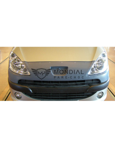 Grille Peugeot 1007 -  (04/2005)