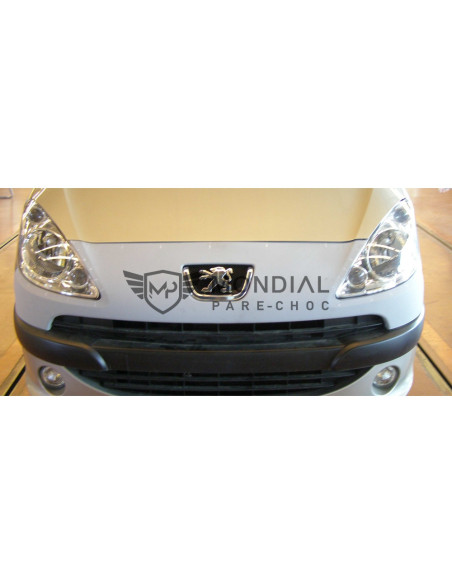 Grille Peugeot 1007 -  (04/2005)