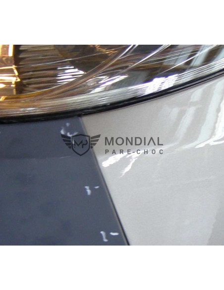 Grille Peugeot 1007 -  (04/2005)