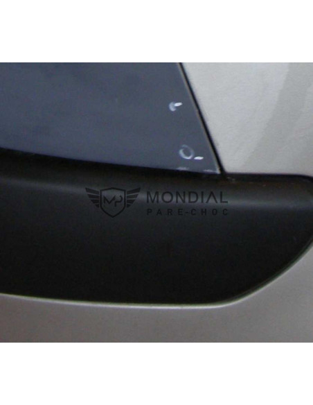 Grille Peugeot 1007 -  (04/2005)