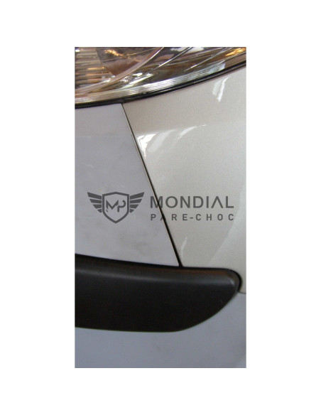 Grille Peugeot 1007 -  (04/2005)