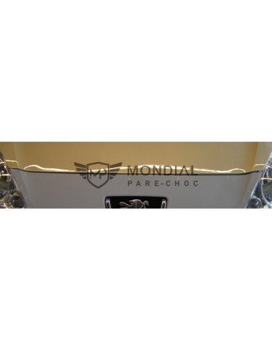 Grille Peugeot 1007 -  (04/2005)