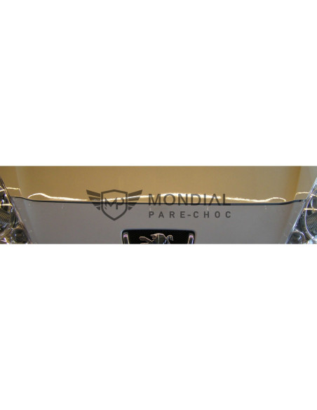 Grille Peugeot 1007 -  (04/2005)