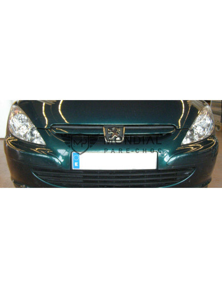 Grille Peugeot 307 - phase 1  (08/2000 au 05/2005)