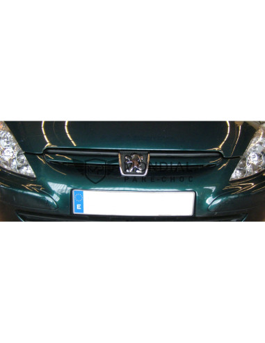 Grille Peugeot 307 - phase 1  (08/2000 au 05/2005)