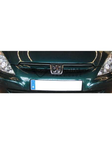 Grille Peugeot 307 - phase 1  (08/2000 au 05/2005)