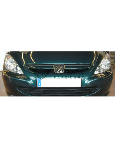 Grille Peugeot 307 - phase 1  (08/2000 au 05/2005)