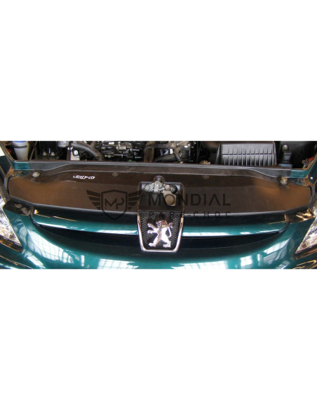 Grille Peugeot 307 - phase 1  (08/2000 au 05/2005)