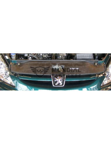 Grille Peugeot 307 - phase 1  (08/2000 au 05/2005)