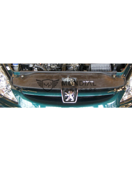 Grille Peugeot 307 - phase 1  (08/2000 au 05/2005)