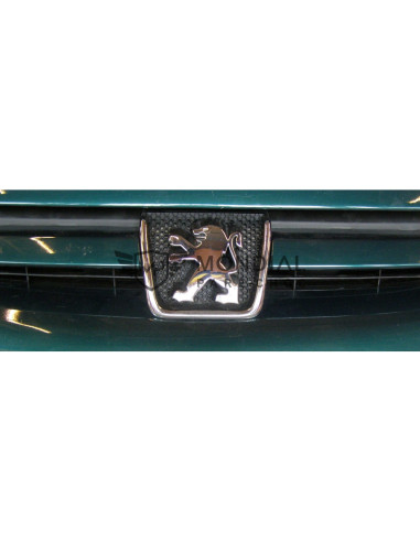 Grille Peugeot 307 - phase 1  (08/2000 au 05/2005)