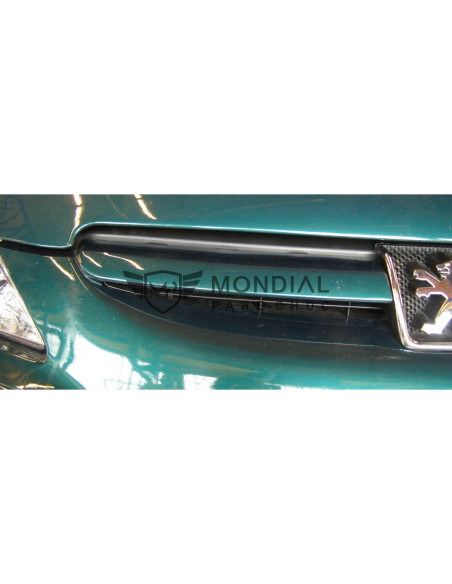 Grille Peugeot 307 - phase 1  (08/2000 au 05/2005)