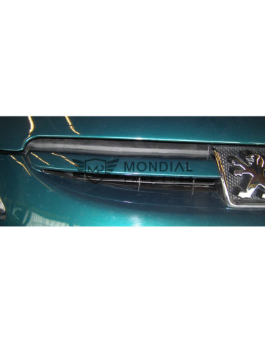 Grille Peugeot 307 - phase 1  (08/2000 au 05/2005)