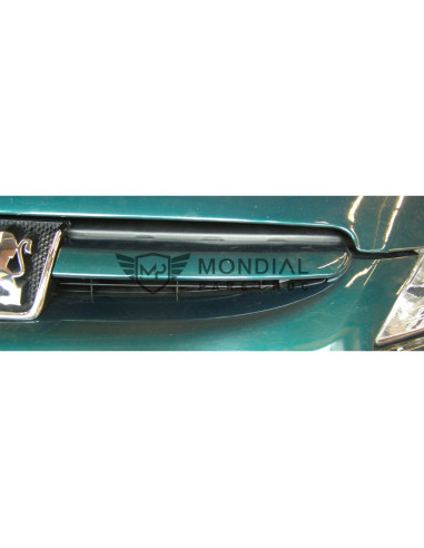 Grille Peugeot 307 - phase 1  (08/2000 au 05/2005)