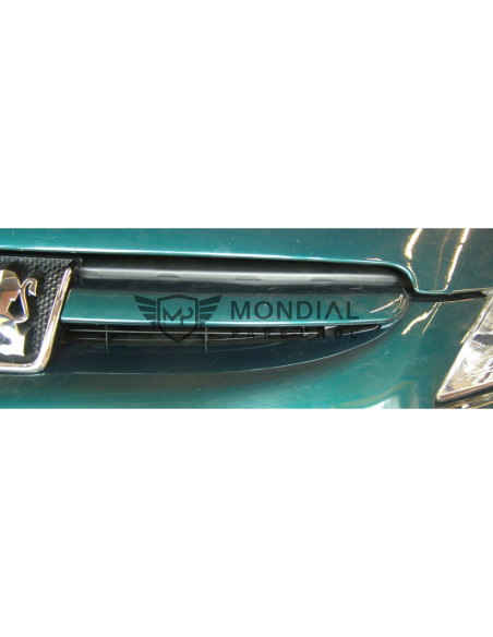 Grille Peugeot 307 - phase 1  (08/2000 au 05/2005)