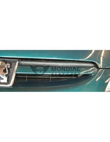 Grille Peugeot 307 - phase 1  (08/2000 au 05/2005)