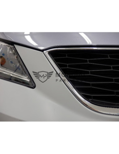 Cadre Calandre Seat IBIZA IV 6J5 et 6P1 cromee -  (05/15 - 03/17)