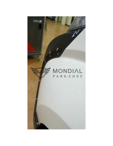 Pare-chocs avant Fiat FIORINO FourgonQubo - Par-Fia-503 (01/2008)
