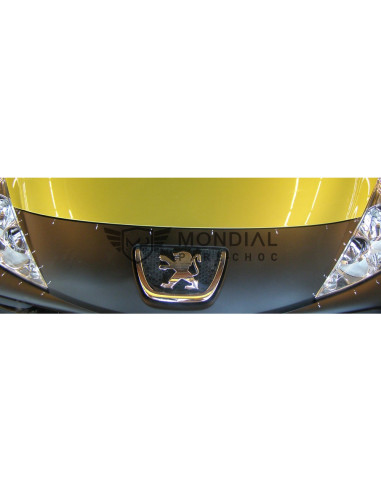Pare-chocs avant Peugeot 207 - Par-Peu-929 (03/2006 au 06/2013)