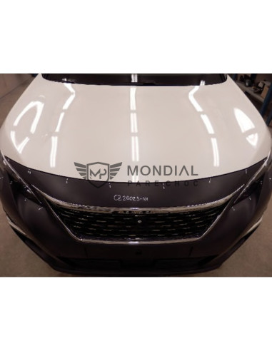 Pare-chocs avant Peugeot 3008 II - phase 1 Par-Peu-1015 (10/2016 au 08/2020)