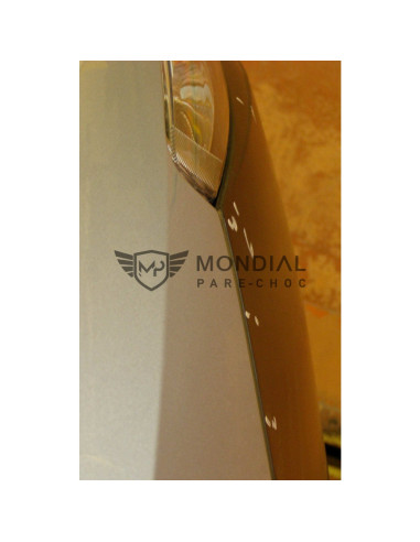 Pare-chocs avant Seat IBIZA IV - phase 1 Par-Sea-1622 (05/2008 au 03/2012)