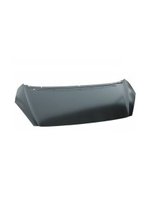 Capot moteur PEUGEOT 206 Plus (03/2009)