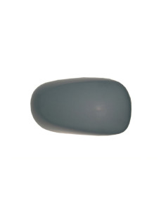 Coque rétroviseur droit RENAULT MODUS I de 2004 à 2007
