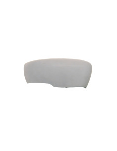Coque rétroviseur droit LED pour Renault Clio IV de 2016 à 2019