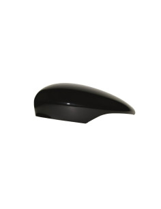 Coque rétroviseur droit Ford Fiesta MK6 de 2008 à 2017, compatibilité étendue