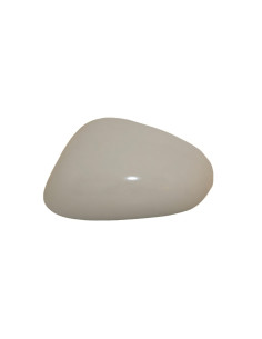Coque rétroviseur gauche Seat Leon II de 2005 à 2009
